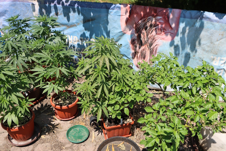 Slika /PU_ZG/slike/PUZ/2025/LIPANJ/DROGA 26-6/SLIKA 1.jpg